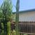 Tall Cactus 9 thumbnail