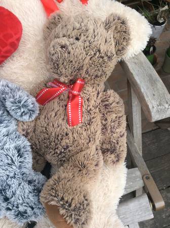 Two adorable Teddy bears 1