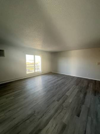 $1,450 / 2br - 825ft2 - Walk to Town. Very spacious with updated colors and lots of light! (Minneapolis)64003958705666122