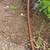Irrigation,sprinkler,drip systems install and repair 3 thumbnail