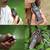 7-in-1 SURVIVAL WHISTLE/COMPASS/THERMOMETER/LIGHT/MAGNIFIER/MIRROR.... 3 thumbnail