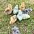Silkie Baby Chicken *Chicks* 1 thumbnail