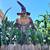 Lowes 12foot Giant scarecrow animatronic 1 thumbnail