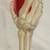3 10" SKELETON HAND FLUTE GLASSES 2 thumbnail