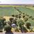 Online Real Estate Auction - House on 2+/- Acres in rural Jerseryville 2 thumbnail