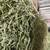 Alfalfa square bales 2 string 2 thumbnail