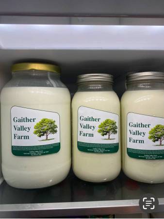 Fresh Goat Milk 1