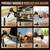 Car Vacuum Cleaner, 4 in 1 Handheld Vacuum Cleaner Cordless with 28000 6 thumbnail