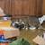 FREE CAT FOR GOOD HOME 2 thumbnail
