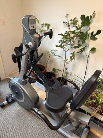 Recumbent Indoor Exercise bIKE 1