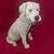 Yellow Labrador by Conversation Concepts DFL24B "Dog Figurine Large". 6 thumbnail