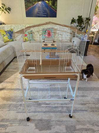 Jaula para pájaros (Springfield)63439527616513121