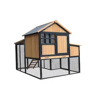Chicken Coop and 5 chickens for sale 1