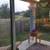 Room Available Immediately for Responsible Roommates in S Austin Home 5 thumbnail