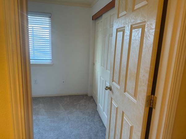$650 / 3br - Una habitación en alquiler - Todos los servicios incluidos (Albany)63660412974083122