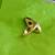 Antique Ring Diamond 14kt Gold Onyx Ladies  size 6 Victorian Art Deco 3 thumbnail