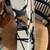 Moniker Zuma Jazzmaster EVH Tribute 6 thumbnail