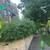 🌲🌼🌺JARELY’S LANDSCAPING & TREE SERVICE LLC🌼🌺🌳 7 thumbnail
