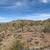 36.24 Acres Undeveloped Land Parcel Mojave County 1 thumbnail
