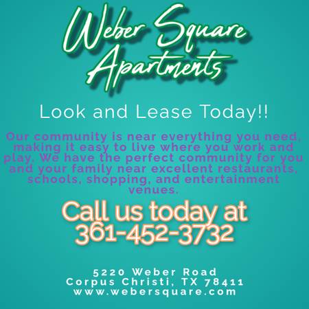 $800 / 1br - 490ft2 - Feel the pulse of the city just outside your front door. (Corpus Christi)64036539635842120