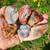 🪨✨ TURN YOUR AGATE COLLECTION INTO CASH TODAY ✨🪨 2 thumbnail