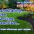 ✅ MENDOZA's Landscaping, Tree Services, Gardening. Reliable.✅ 8 thumbnail