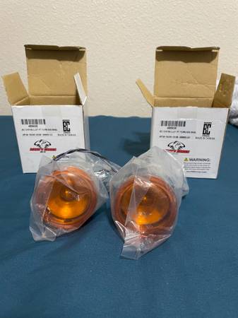 Chrome Bullet Front Turn Signal lights 1