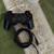 ps3 wireless controller 2 thumbnail