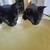 Kitten 4 thumbnail