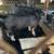 Berkshire pigs/ breeding stock 12 thumbnail