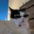 2 male tuxedo cats 7 thumbnail
