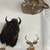 Shoulder mount Buffalo and Bull Elk, Full body Mtn Lion, and Deer 18 thumbnail