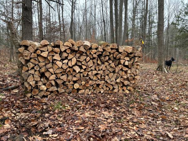 Firewood 1