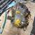 Cub cadet hydrostatic drive 1 thumbnail