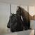 EXCELLENT! Used Canvas horse art ($85/each set of 4 panels) 4 thumbnail