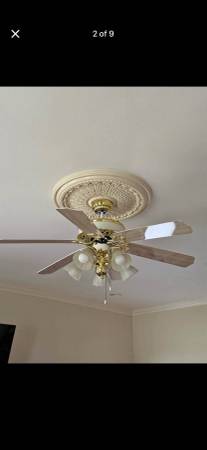 Ceiling fans 1