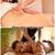 🌈Time to Relax Massage🏳️‍🌈LGBT Friendly/M4M/Male/Female 👭👬 4 thumbnail
