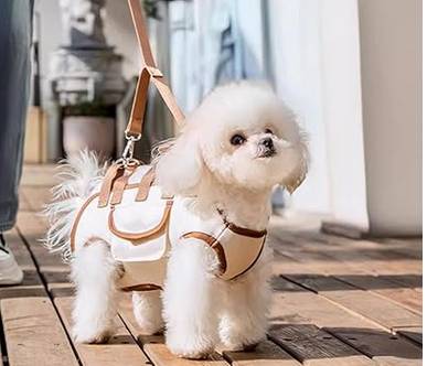 PET - THREE-IN-ONE DOG/CAT CARRY HARNESS (Lincoln Park) (Southgate)63859008362371121