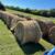 19 4X5 mixed grass cow hay 4 thumbnail