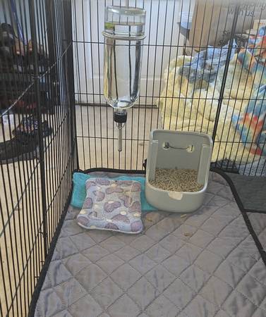 Modular Small Pet Cage 1
