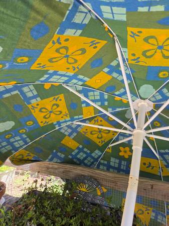 Beach Umbrella 1
