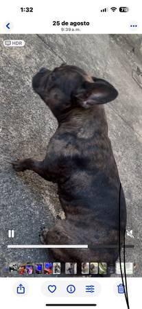 New home for her (Bronx)63690333781505123