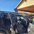 2008 Nissan Xterra Off Road 5 thumbnail
