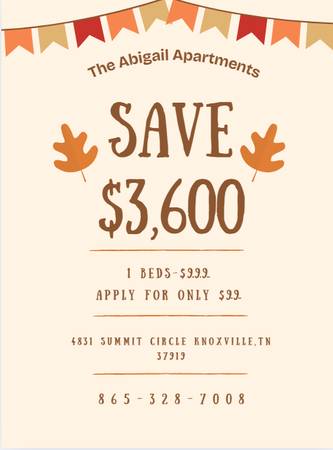 $999 / 1br - 1 Bed / 1 Bath (Unit 206) (Knoxville)63815695315075120