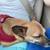 $63.00 / Night Dog Boarding - Cozy Care for Small & Teacup Dogs💖 12 thumbnail