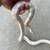 Snakes/kingsnake/milksnake 1 thumbnail