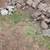 Rocks 1 thumbnail