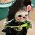 ANNALEE HALLOWEEN WITCH MOUSE IN BLACK W GREEN TRIM CARRYING BIRD, 202 2 thumbnail
