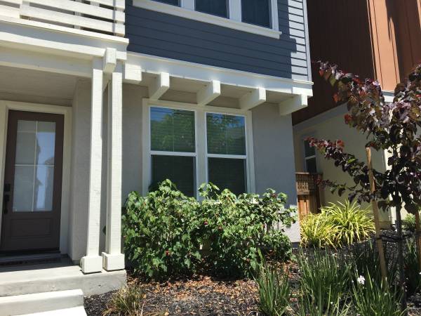 $1,350 1bed 1bath (East Dublin) (dublin / pleasanton / livermore)63860996291715120