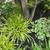 LANDSCAPING , Tree cutting,POWER WASH AND and GUTTER CLEANING 6 thumbnail